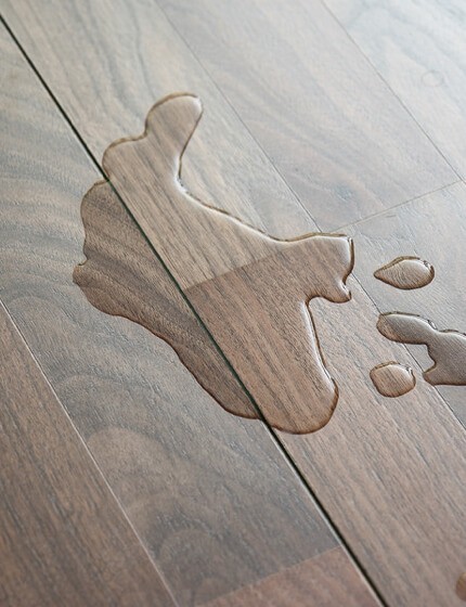 shaw vinyl waterproof flooring | Family Floors