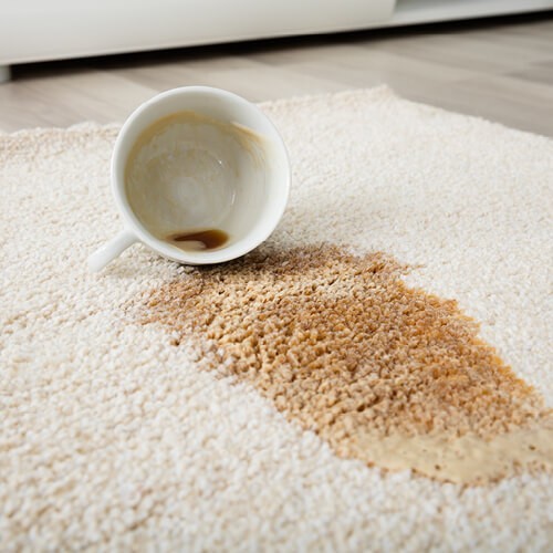 carpet_cleaning5_500x500