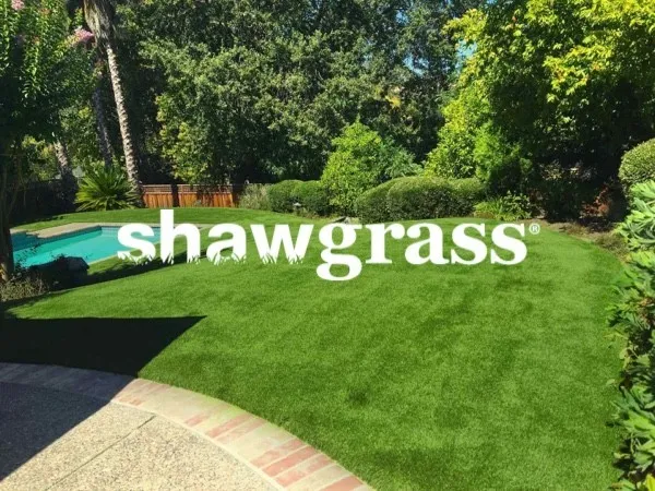 shawgrass