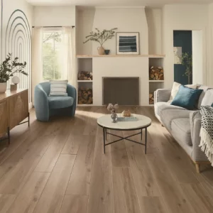 vinyl-gallery Luxury Vinyl Living Room Flooring | Family Floors