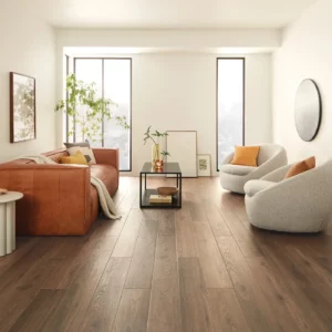 vinyl-gallery Luxury Vinyl Living Room | Family Floors