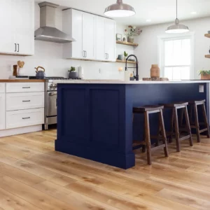 vinyl-gallery Luxury Vinyl kitchen Flooring | Family Floors
