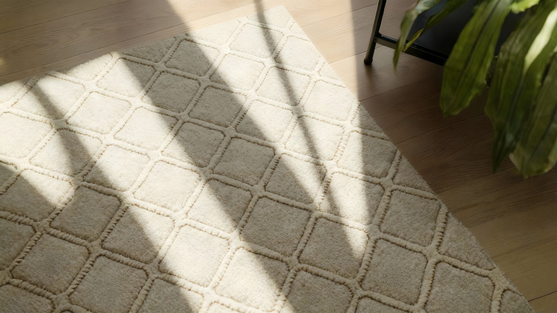 Area rugs hero image - Family Floors